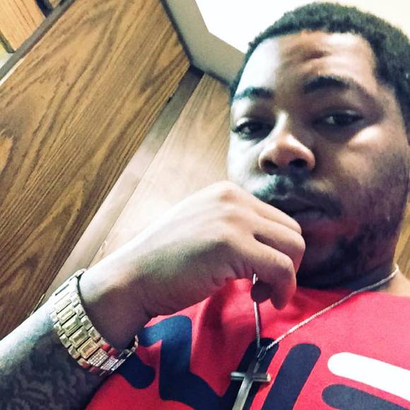 Meet your Posher, Apollo - Picture 1 of 1